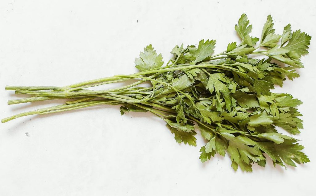 Seledri untuk Penyakit Asam Urat